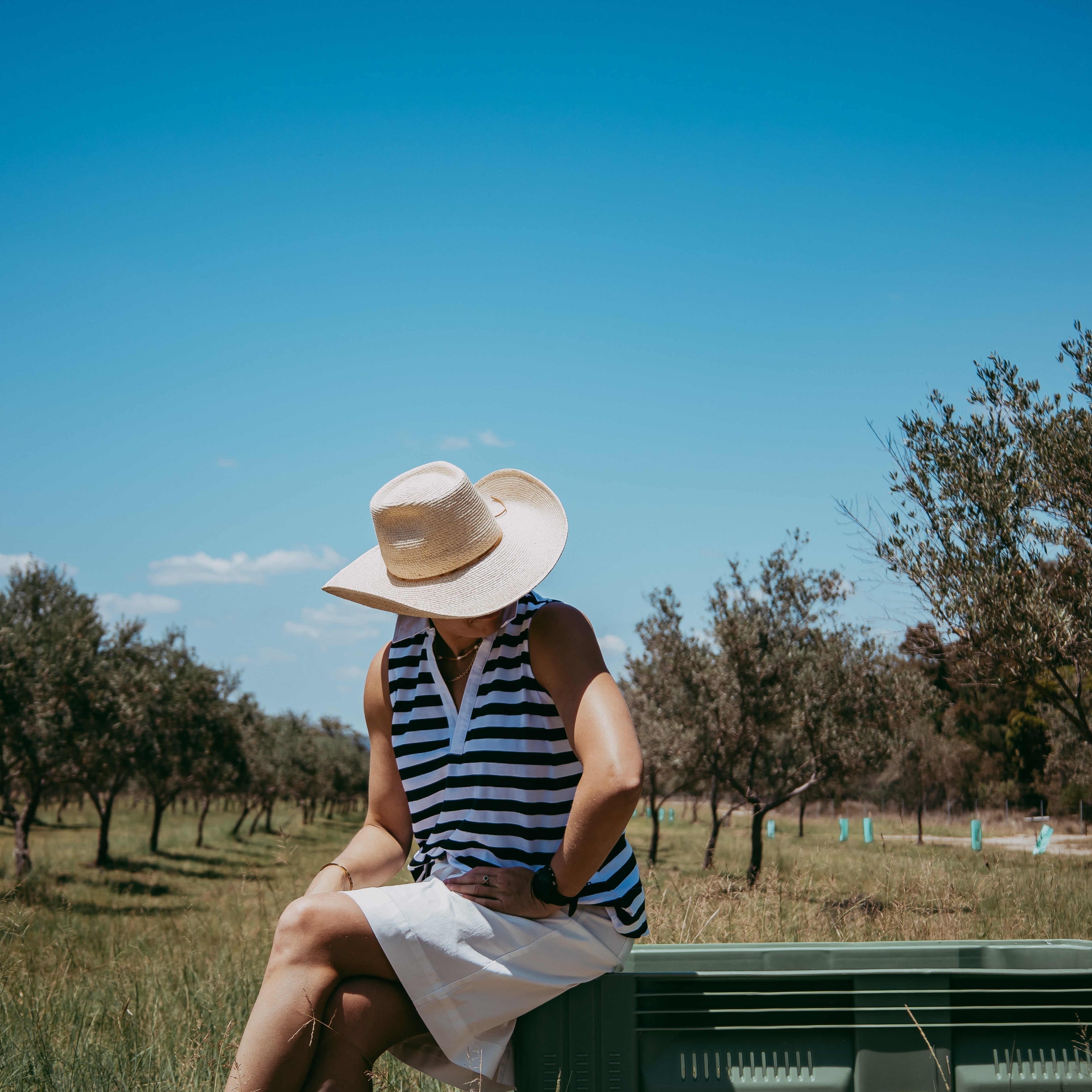 A Day at Coolmunda Olives with Grace Cheatley