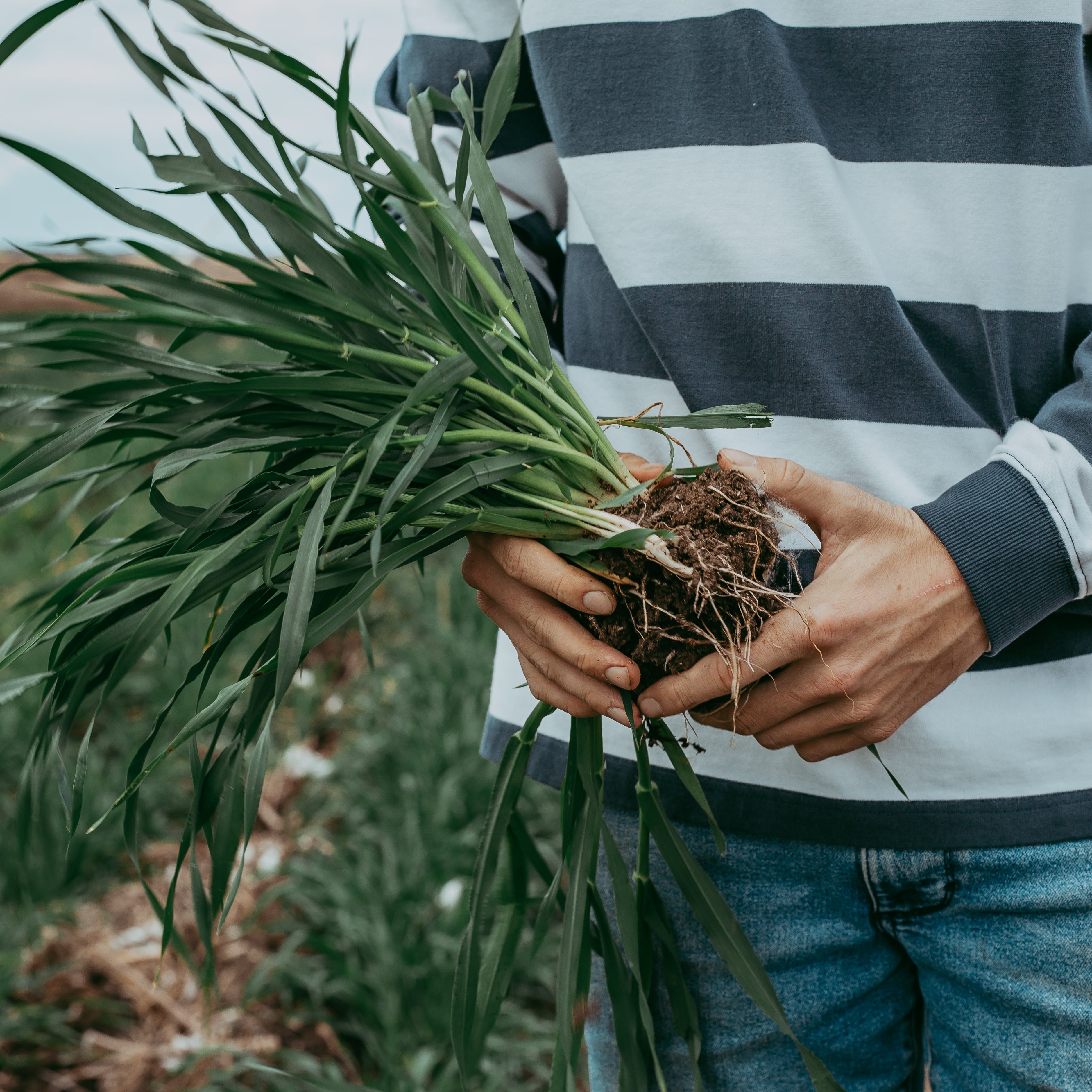 Creating a Fully Circular Farming System with Sam and Harry