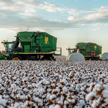 Groundbreaking Sustainability Trial Launched on Goondiwindi Cotton Farm Today