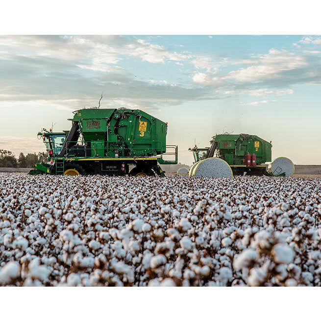 Cotton Australia Highlights Goondiwindi Cotton in Ground-breaking Textile Waste Trial