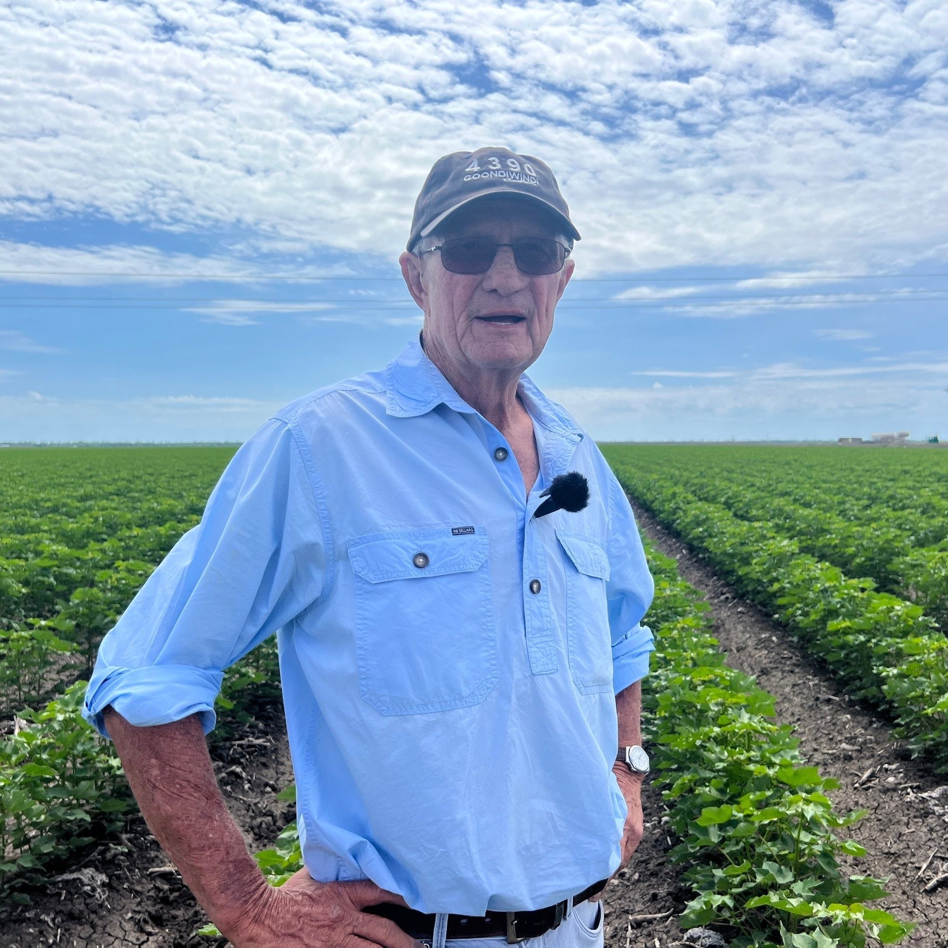 From Cotton Fields to Fashion