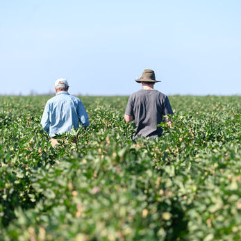 Taste of Australia with Hayden Quinn