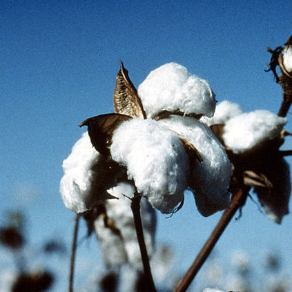 A Tale of Quality and Sustainability