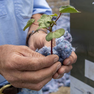 Goondiwindi Cotton Farm Hill Project