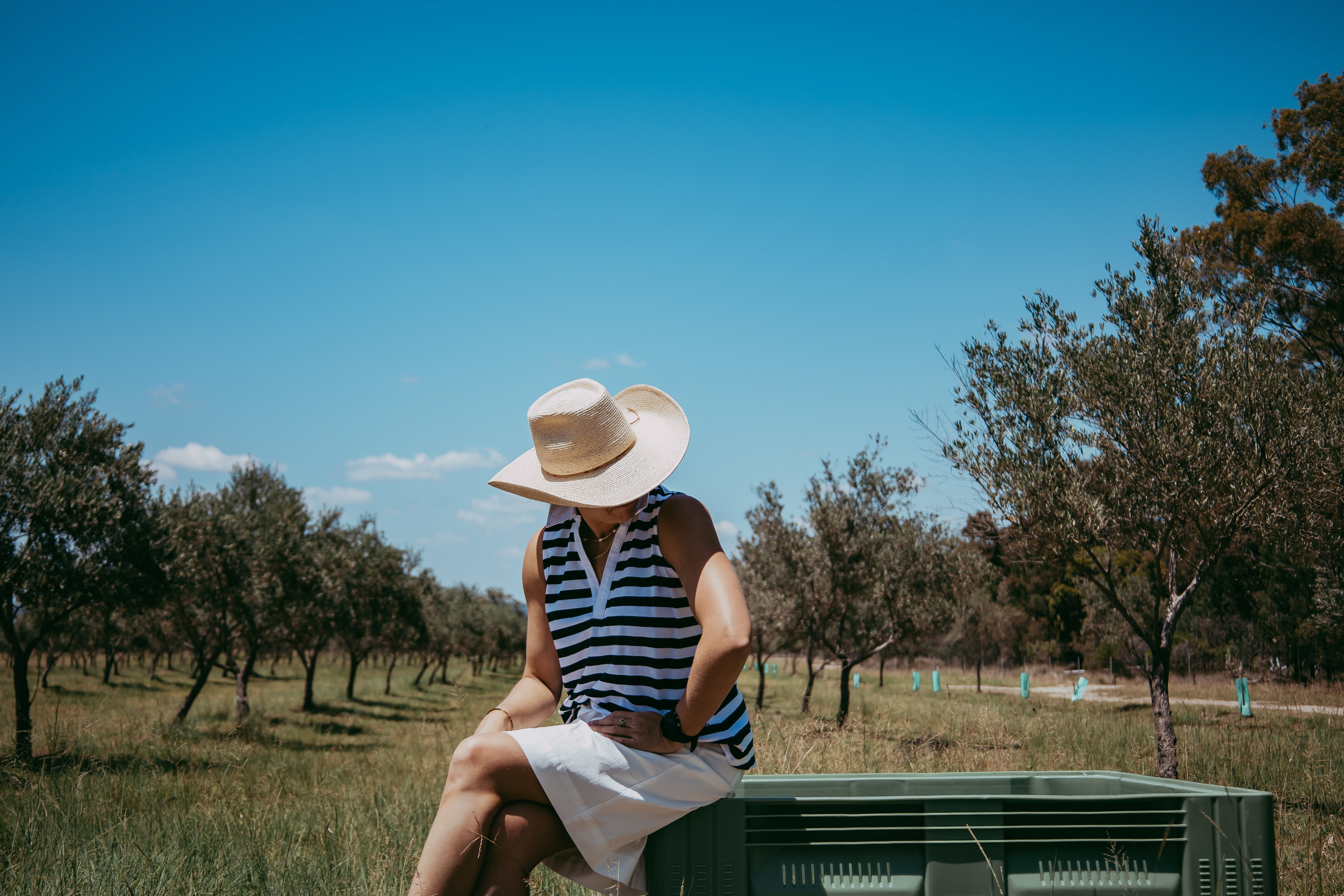 A Day at Coolmunda Olives with Grace Cheatley