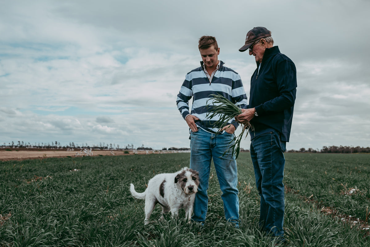 What She Said and More Podcast - Farm to Fashion with Harry Coulton
