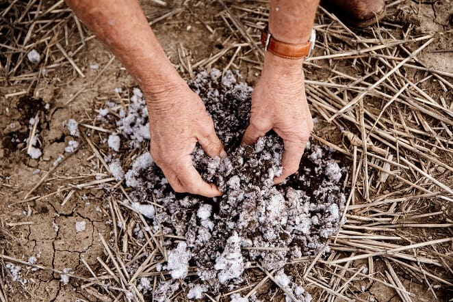 Cotton textile waste returned to field as soil improver