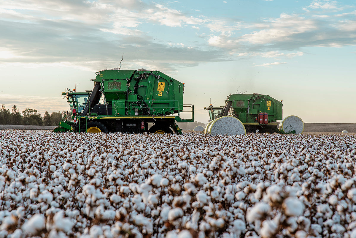 Groundbreaking Sustainability Trial Launched on Goondiwindi Cotton Farm Today