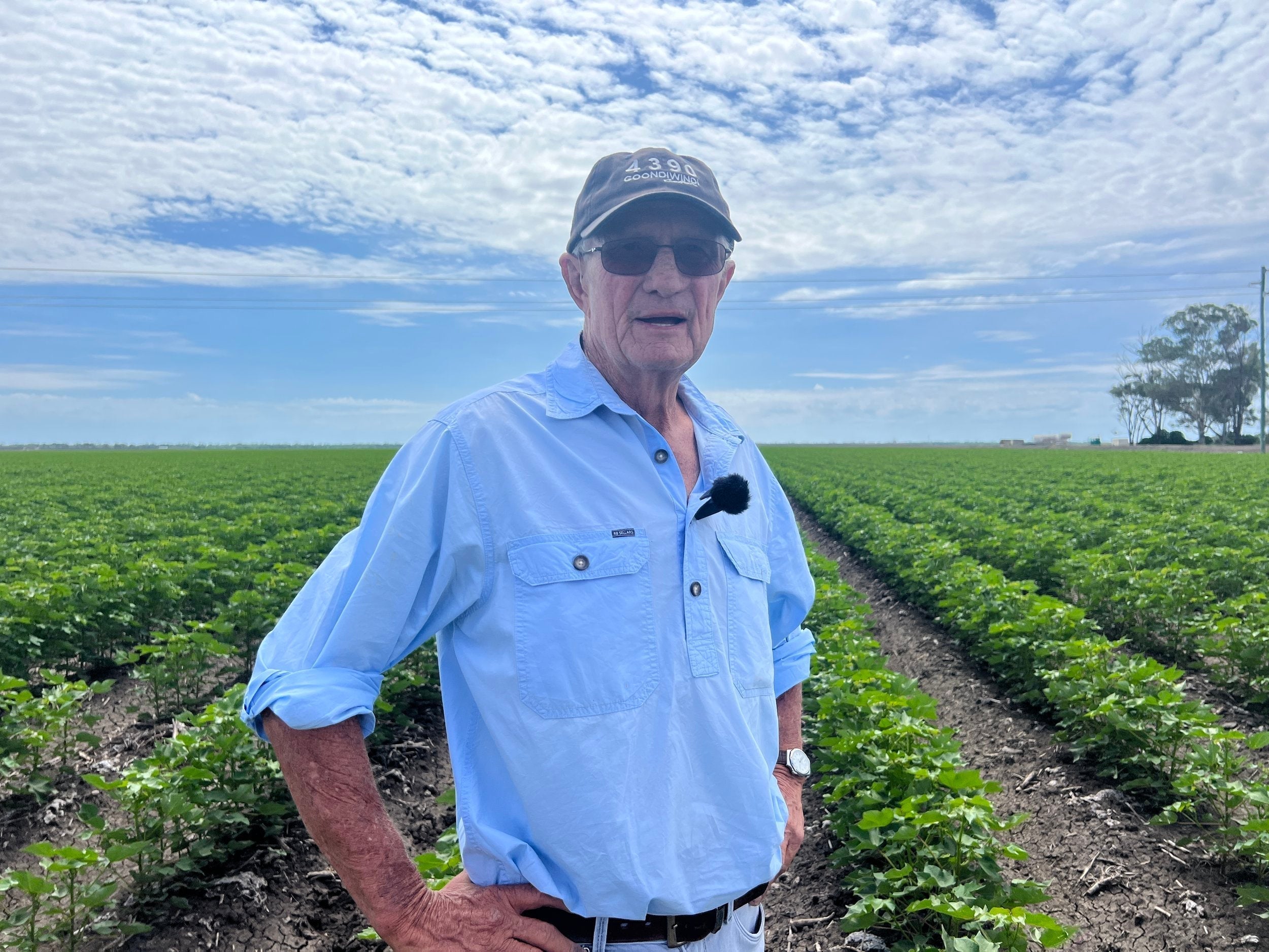 From Cotton Fields to Fashion