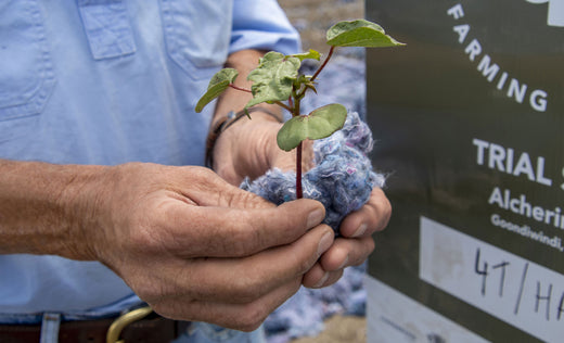 Goondiwindi Cotton Farm Hill Project